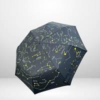 Recycled Telescopic Umbrella